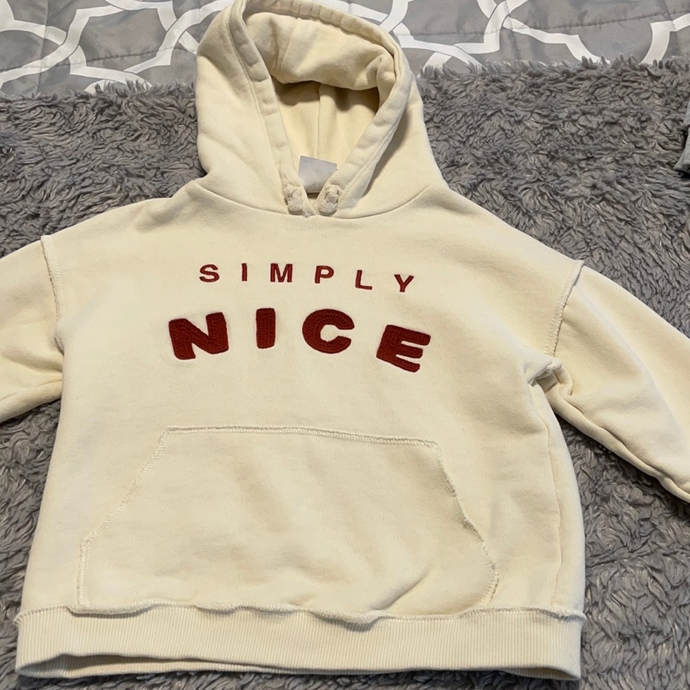 Zara hoodie